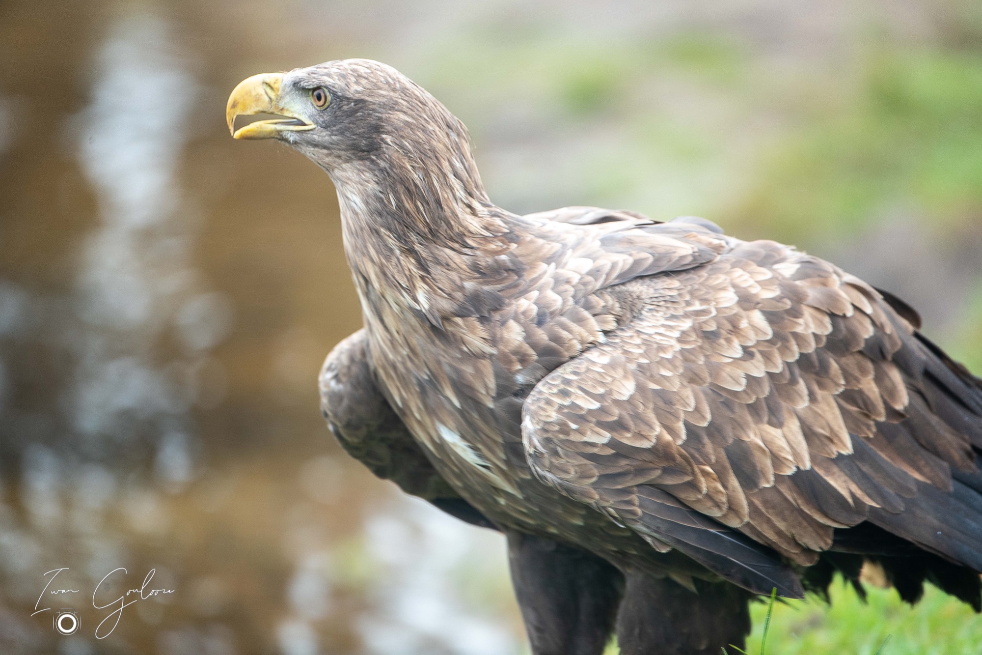 1DX46832 12 december 2021 1443 32